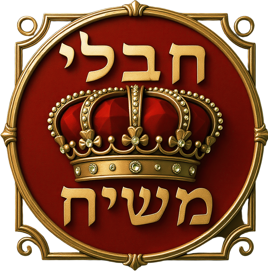 ארגון חבלי משיח